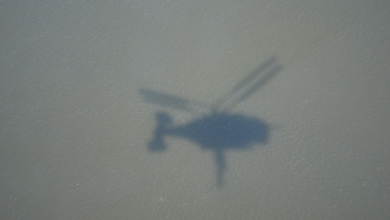 Ксения Калинина