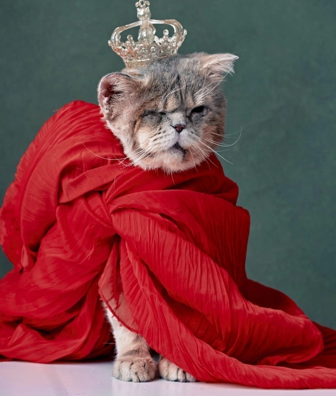 предоставлено Светланой Ильясовой