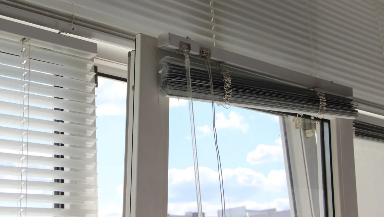 Ксения Калинина