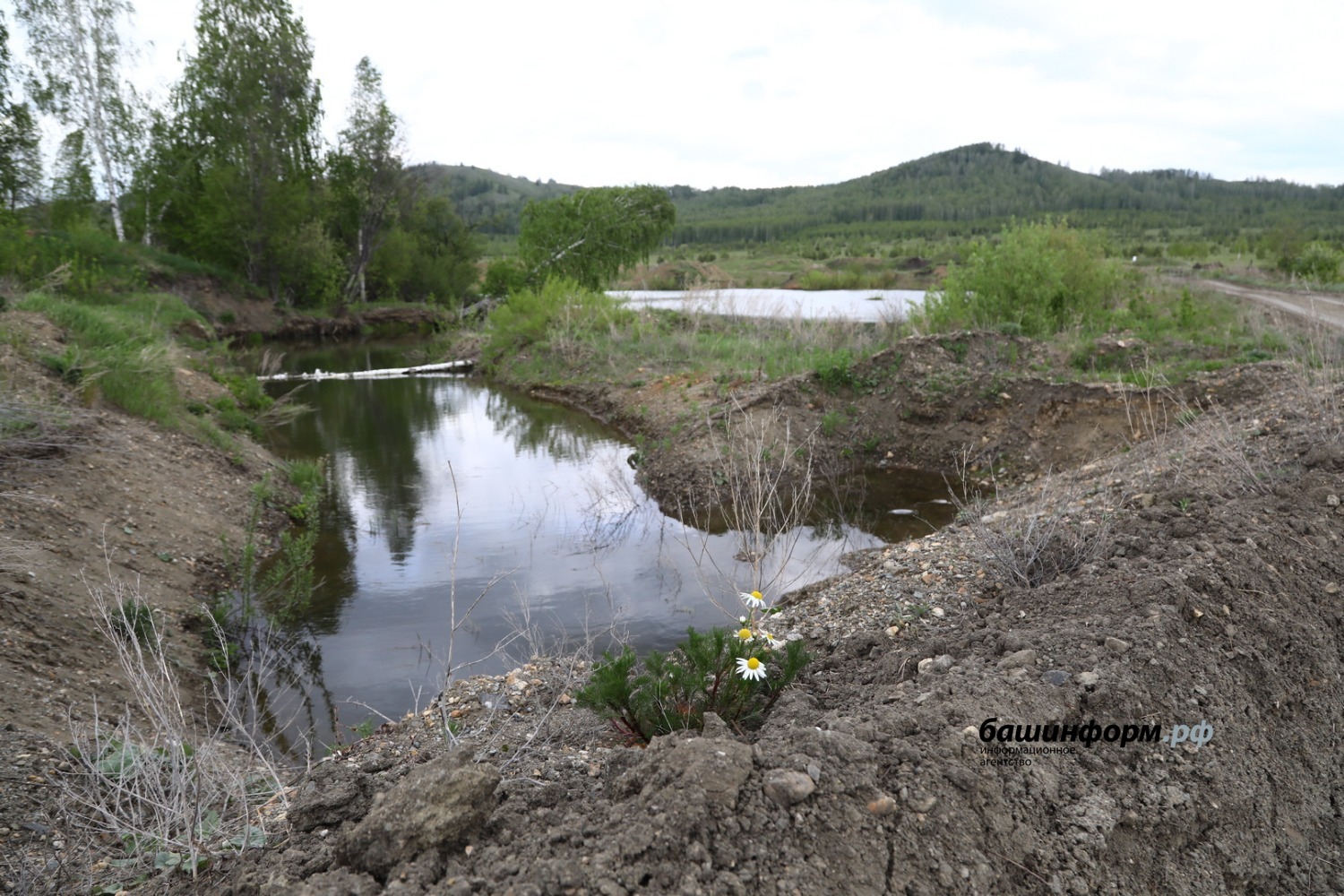 Валерий Шахов ИА «Башинформ»