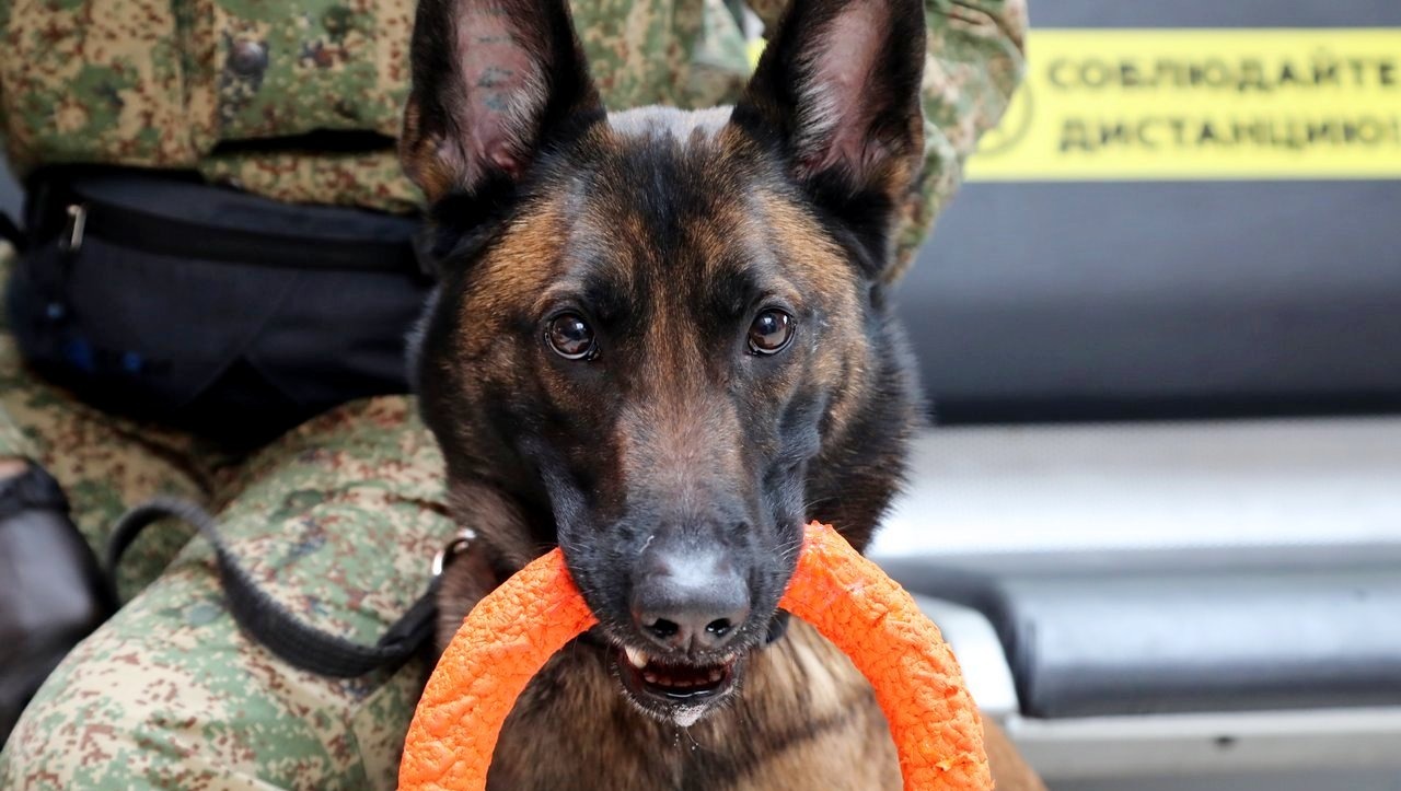 Валерий Шахов