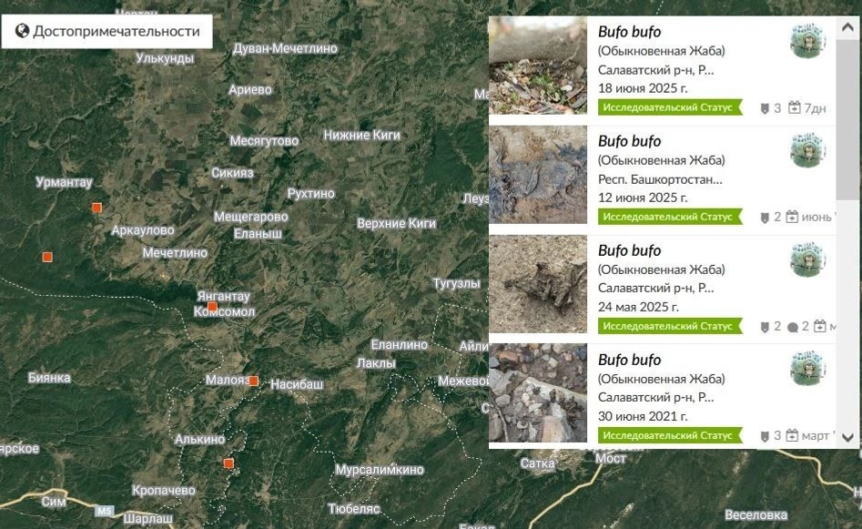 Yangan-Tau UGGp | Геопарк ЮНЕСКО «Янган-Тау», Vk