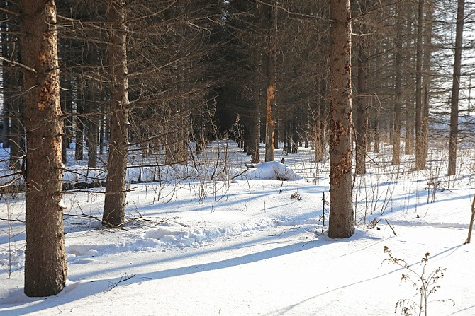 Пресс-служба Администрация г. Уфы