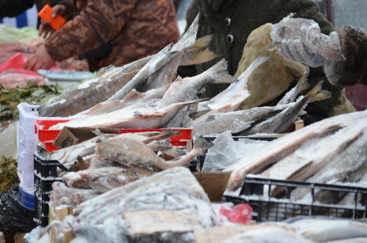 Ксения Калинина