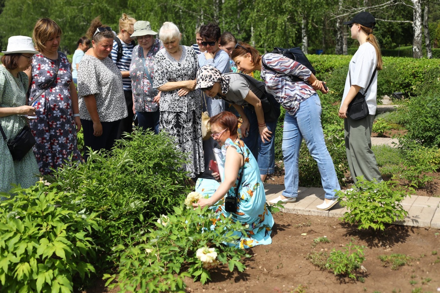 Ито-гибриды обладают изысканным ароматом, он отличается от запаха «обычных» пионов