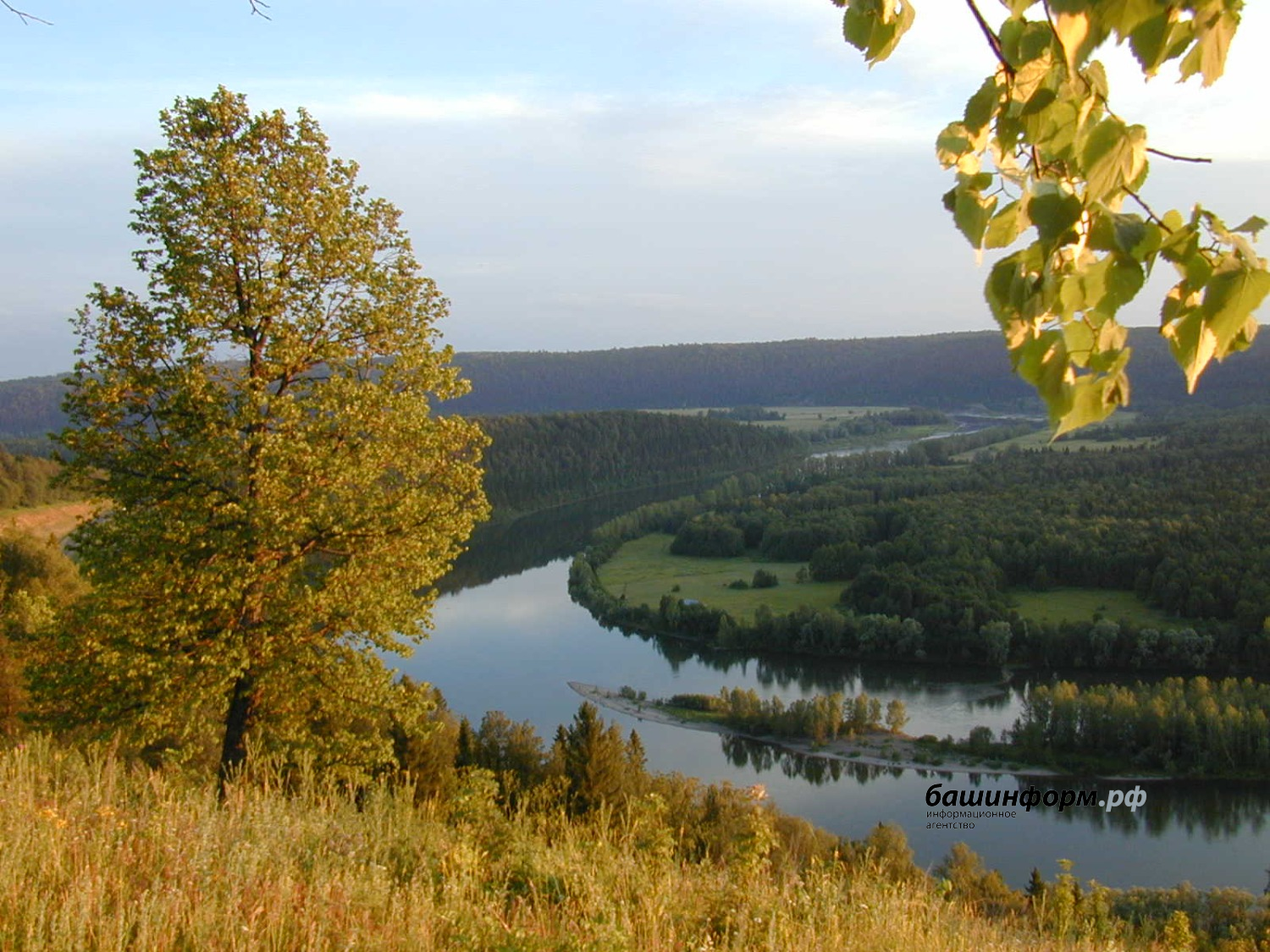 Валерий Шахов