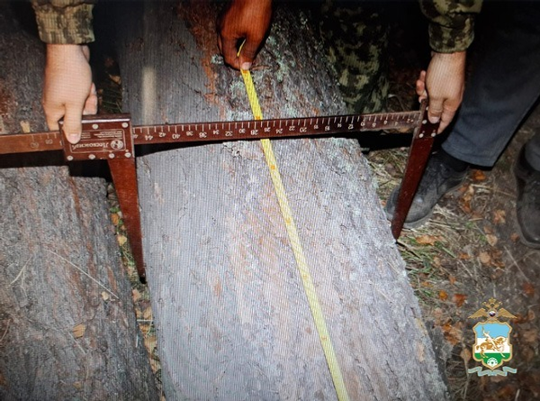 пресс-служба  МВД по РБ