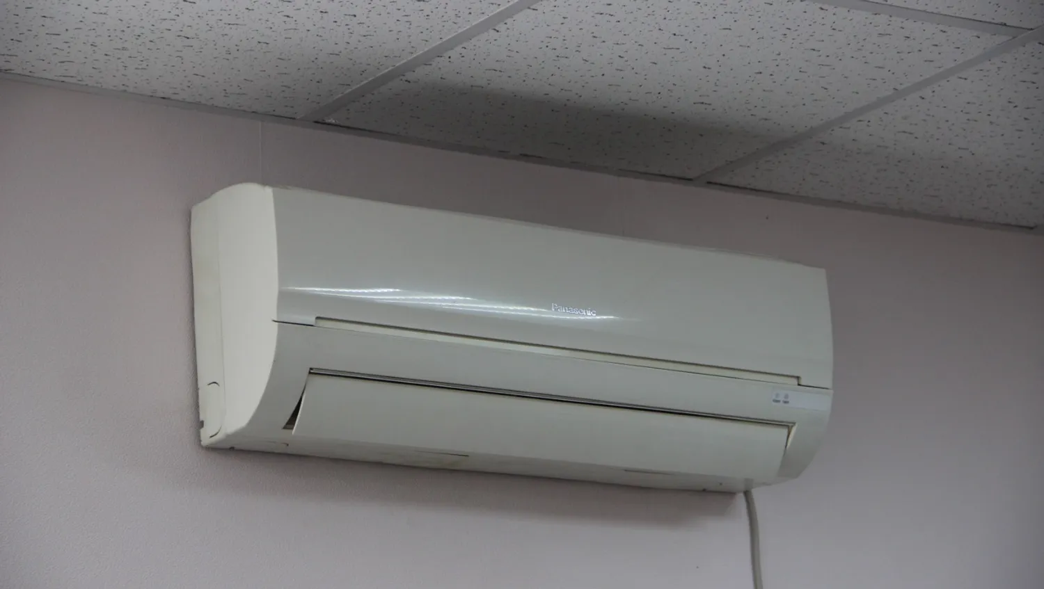 Ксения Калинина