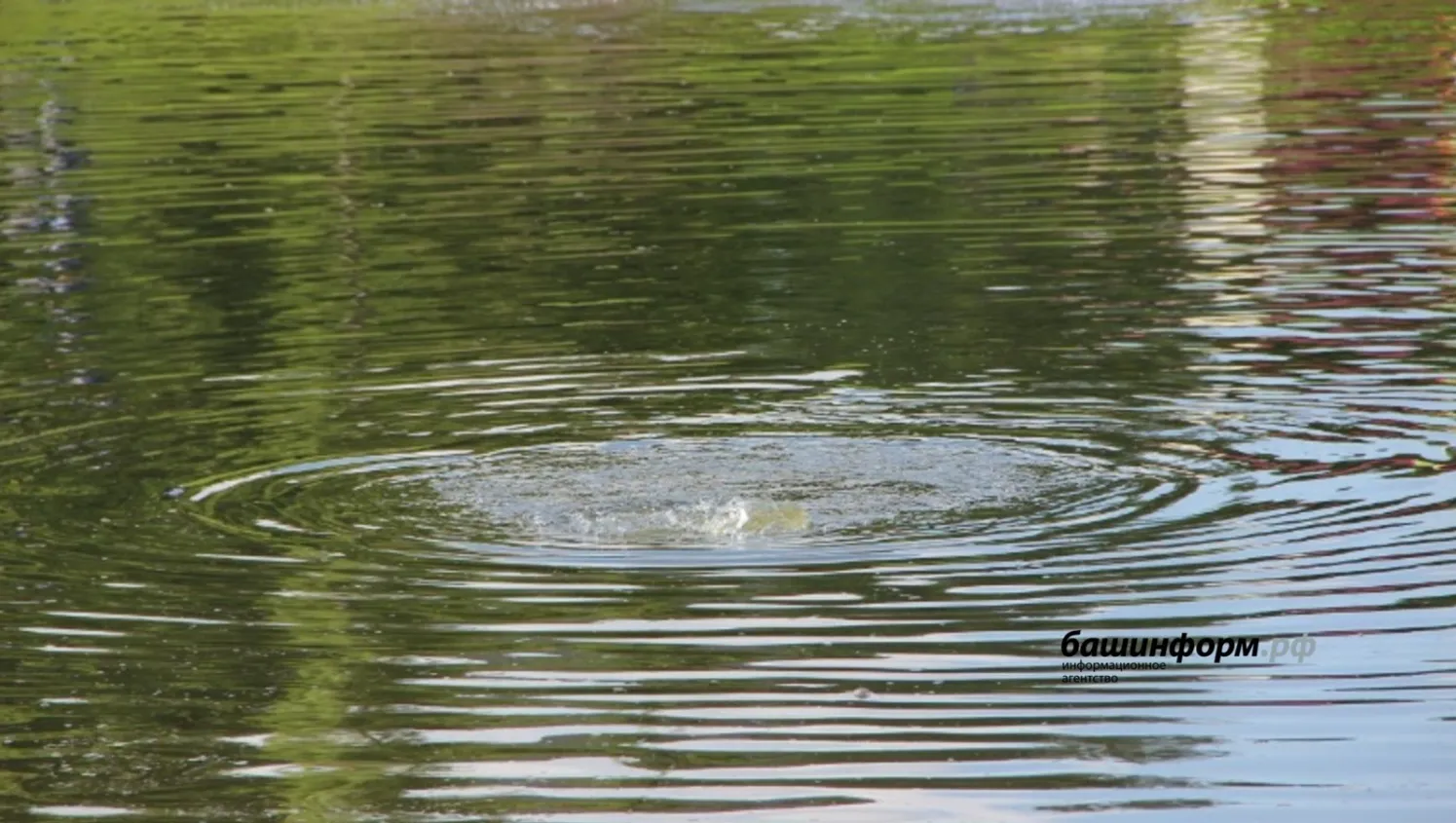 Ксения Калинина