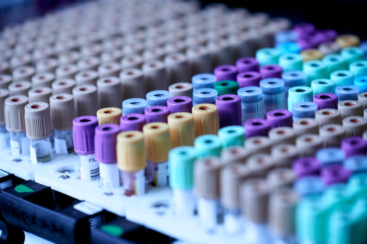 соцсети Андрея Назарова vk.com/agnazarov