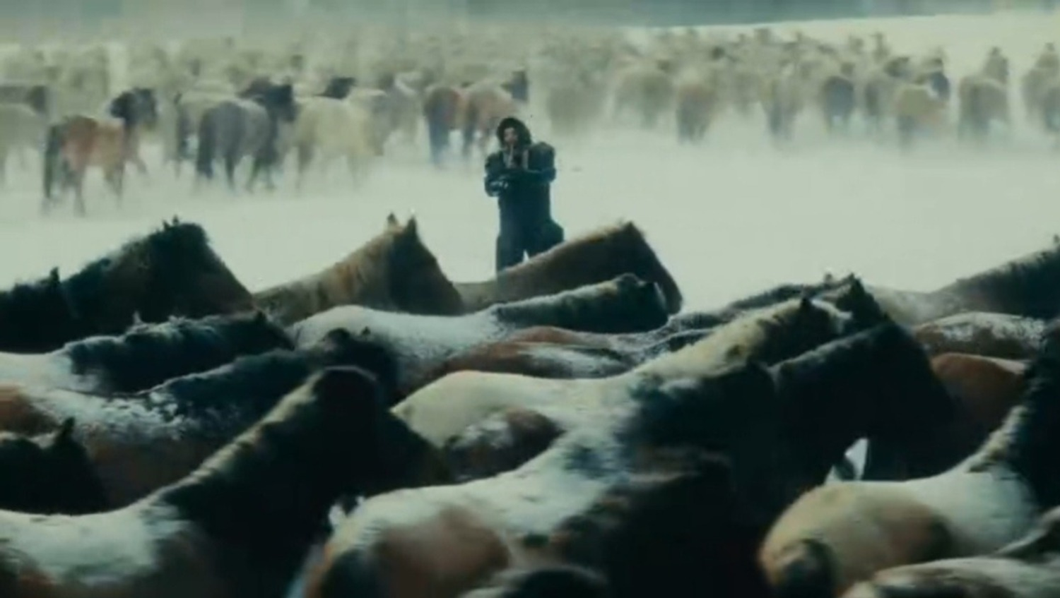 AY YOLA телеграм-канал