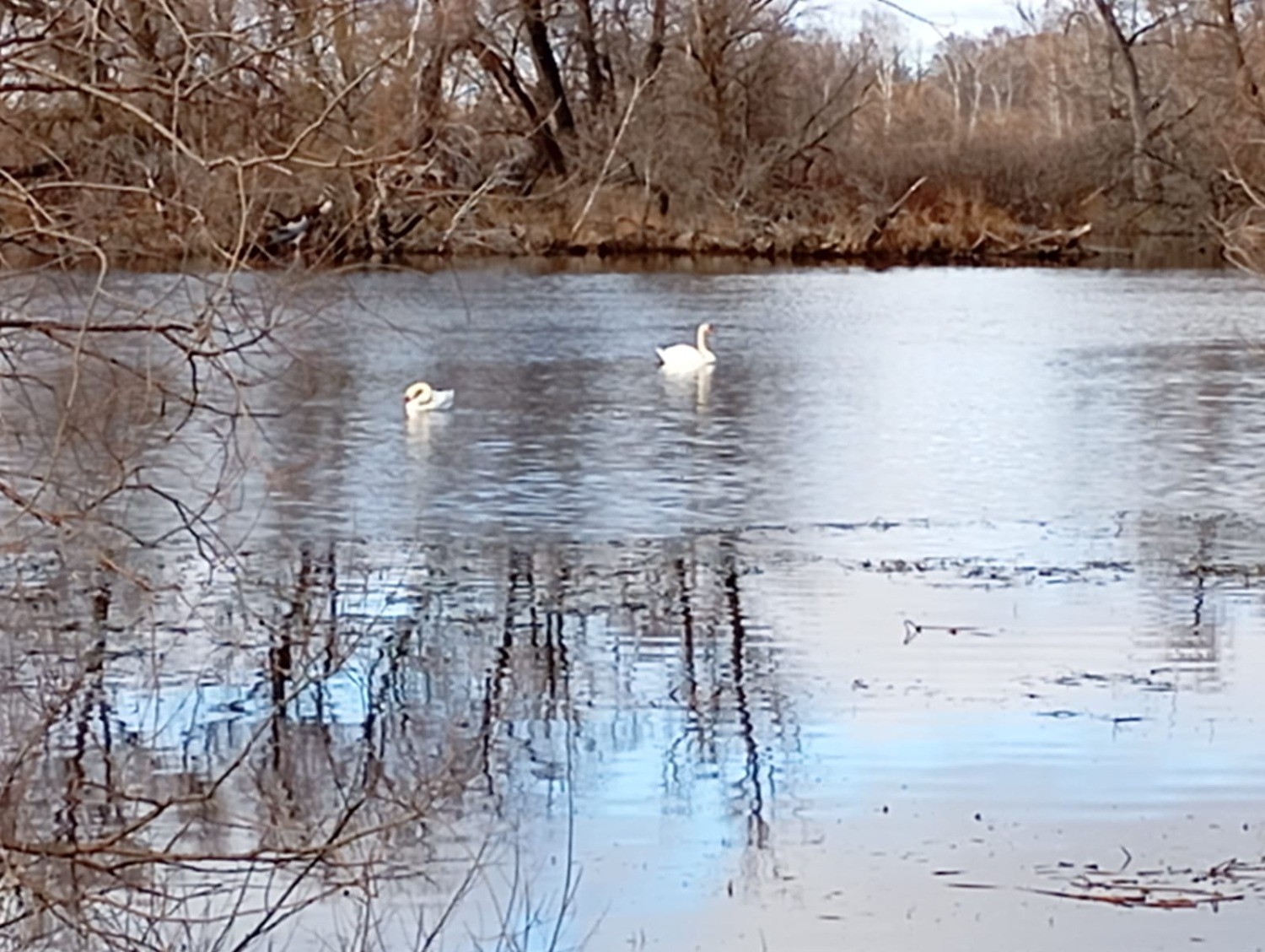 предоставлено Гузель Гильмановой