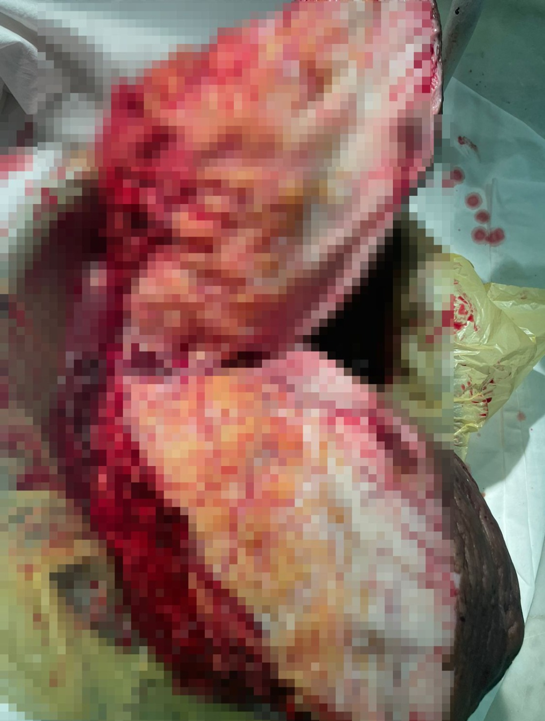 предоставлено Тагиром Нагаевым