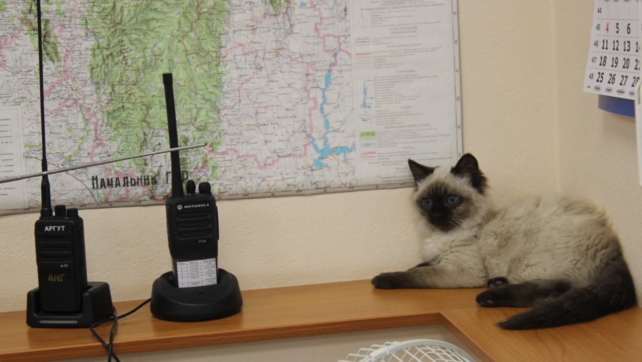 Ксения Калинина