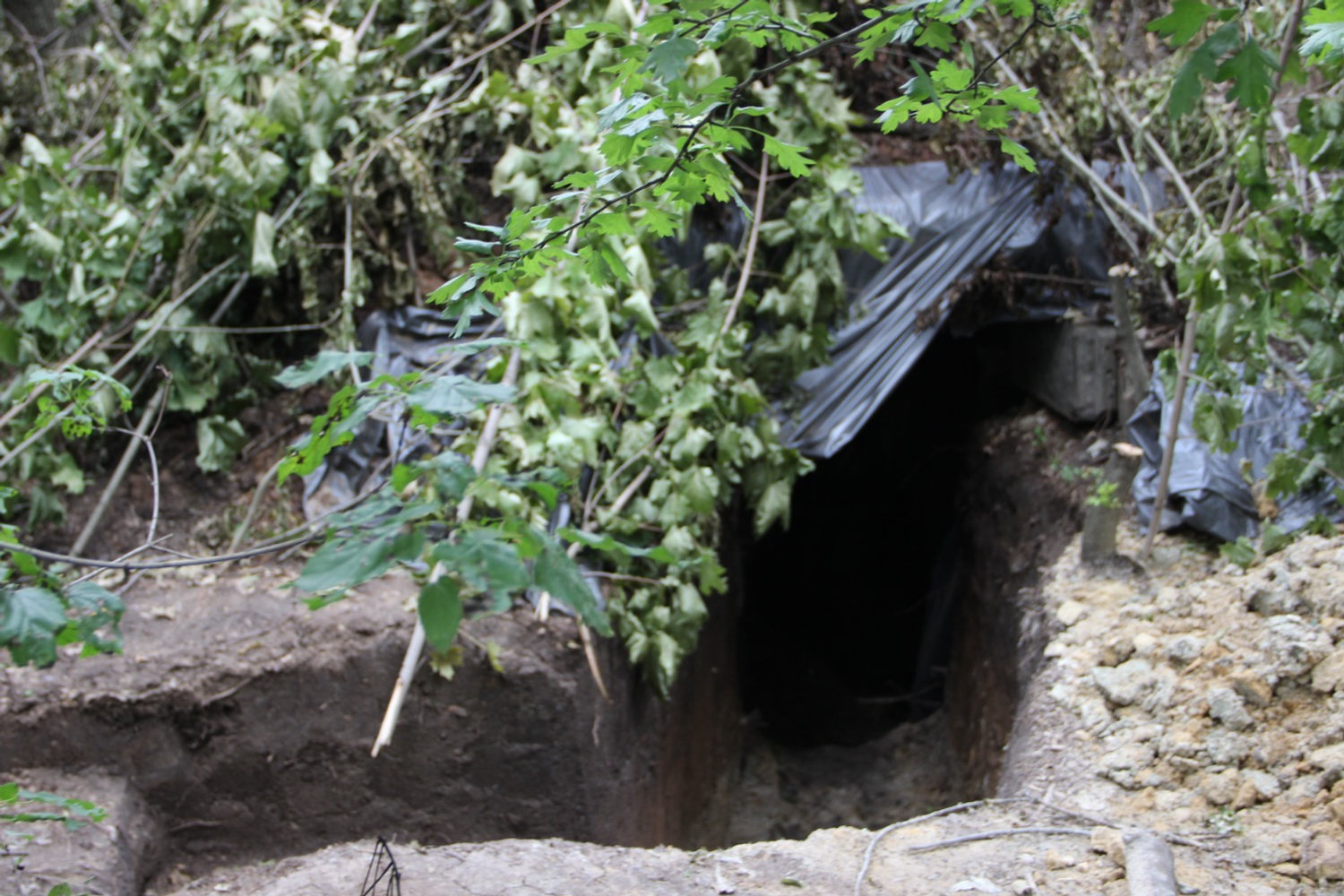 Эдуард Кускарбеков