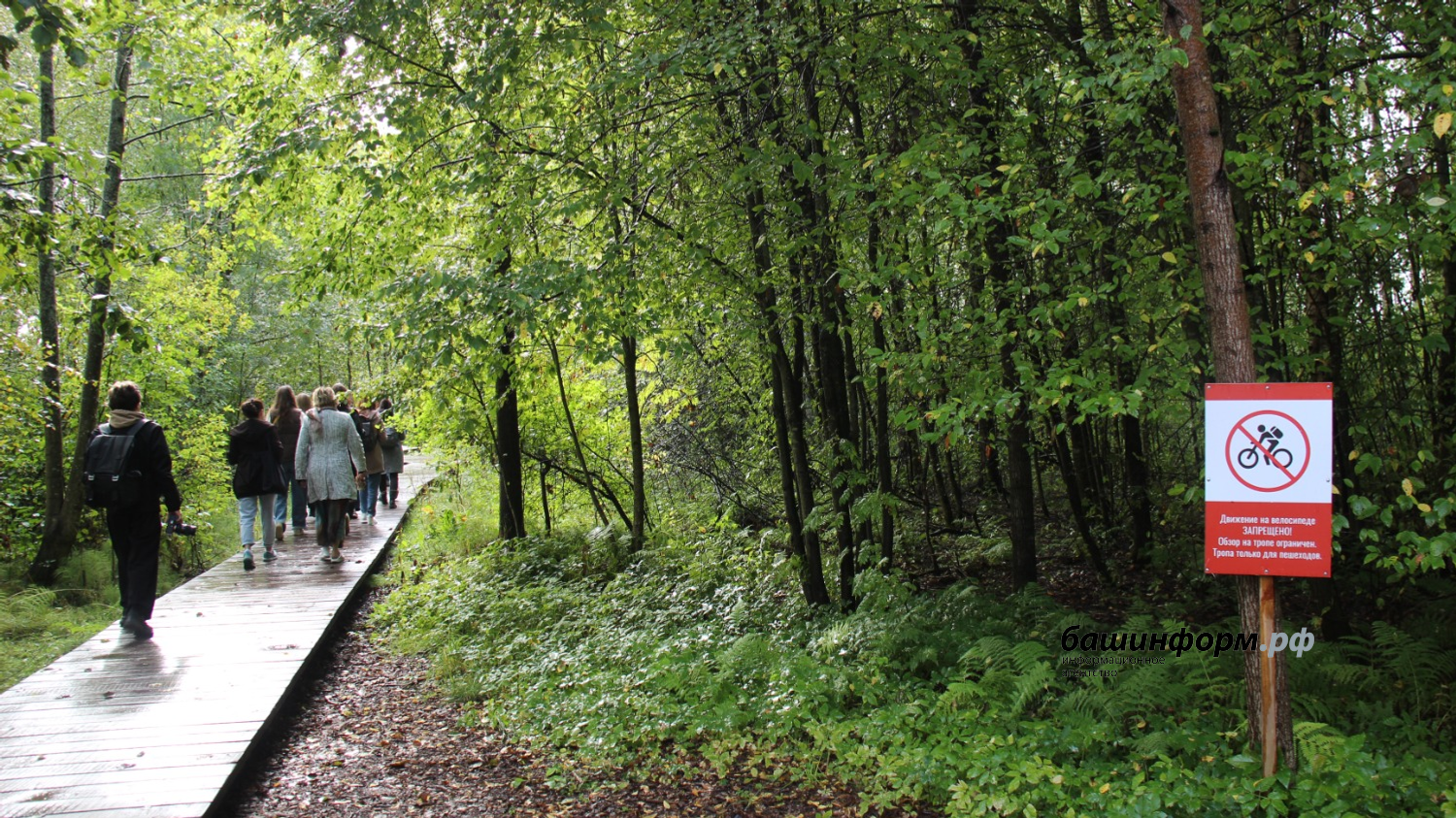 автор  Начало тропы "Сестрорецкое болото"
