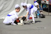 Валерий Шахов