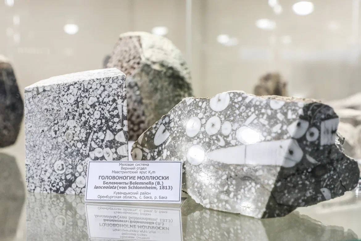 пресс-служба администрации Уфы соцсети главы администрации Уфы Ратмира Мавлиева