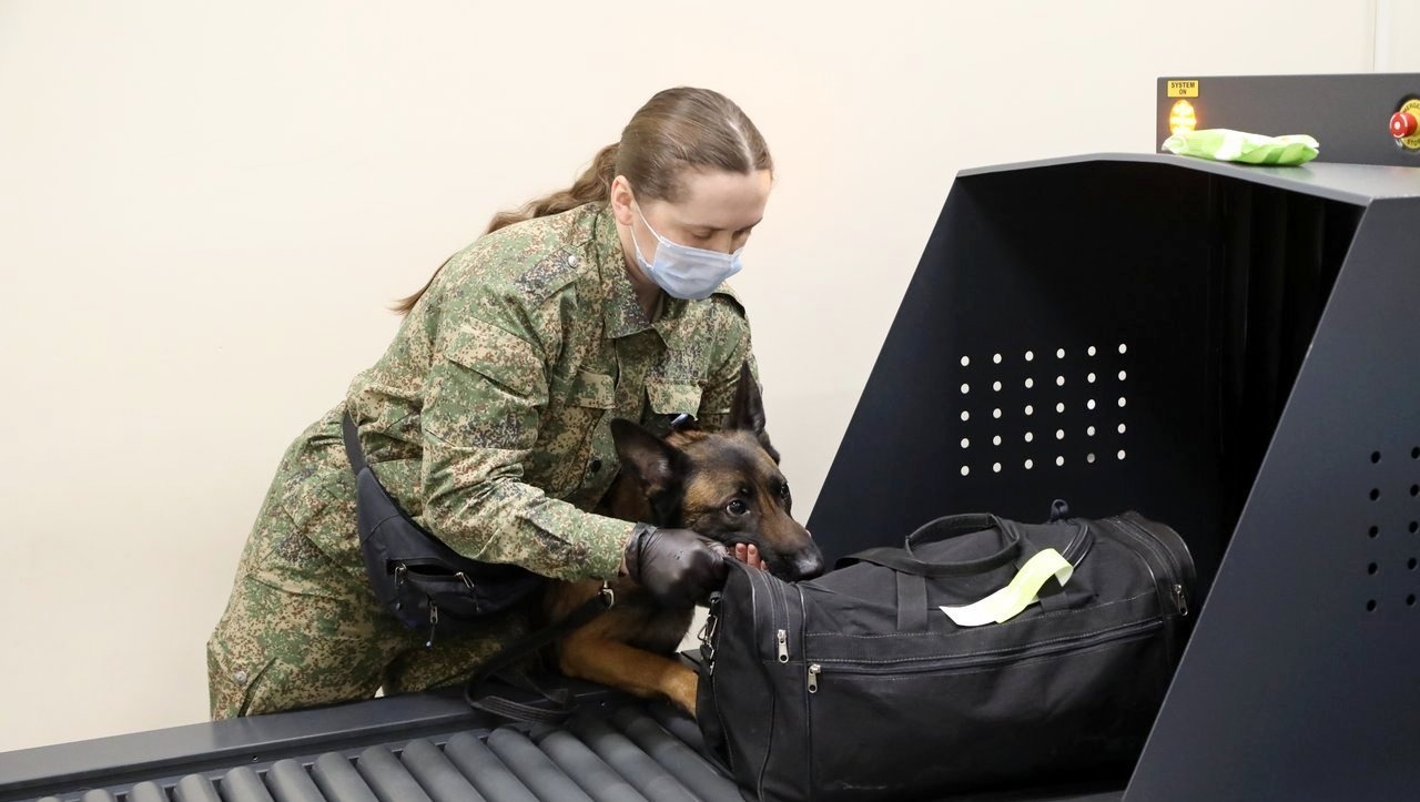 Валерий Шахов