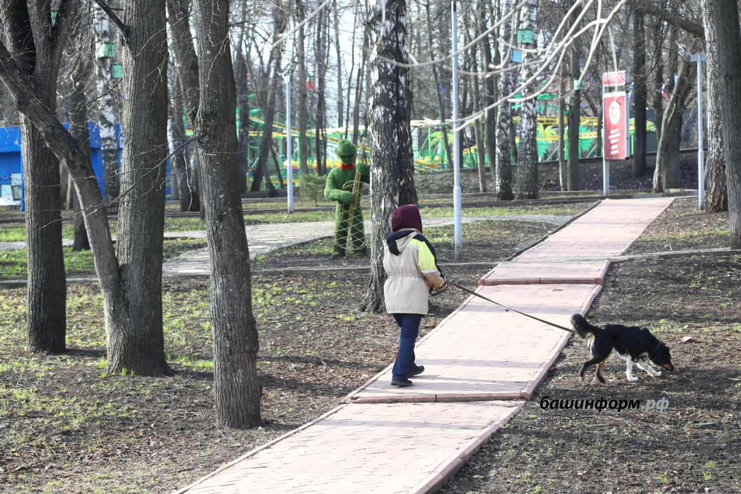 Валерий Шахов Фотобанк ИА «Башинформ»