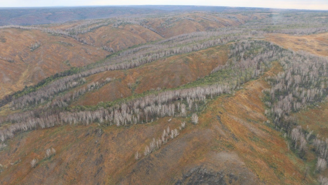 Госкомитет РБ по ЧС