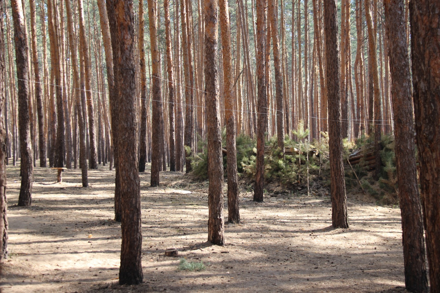 Эдуард Кускарбеков
