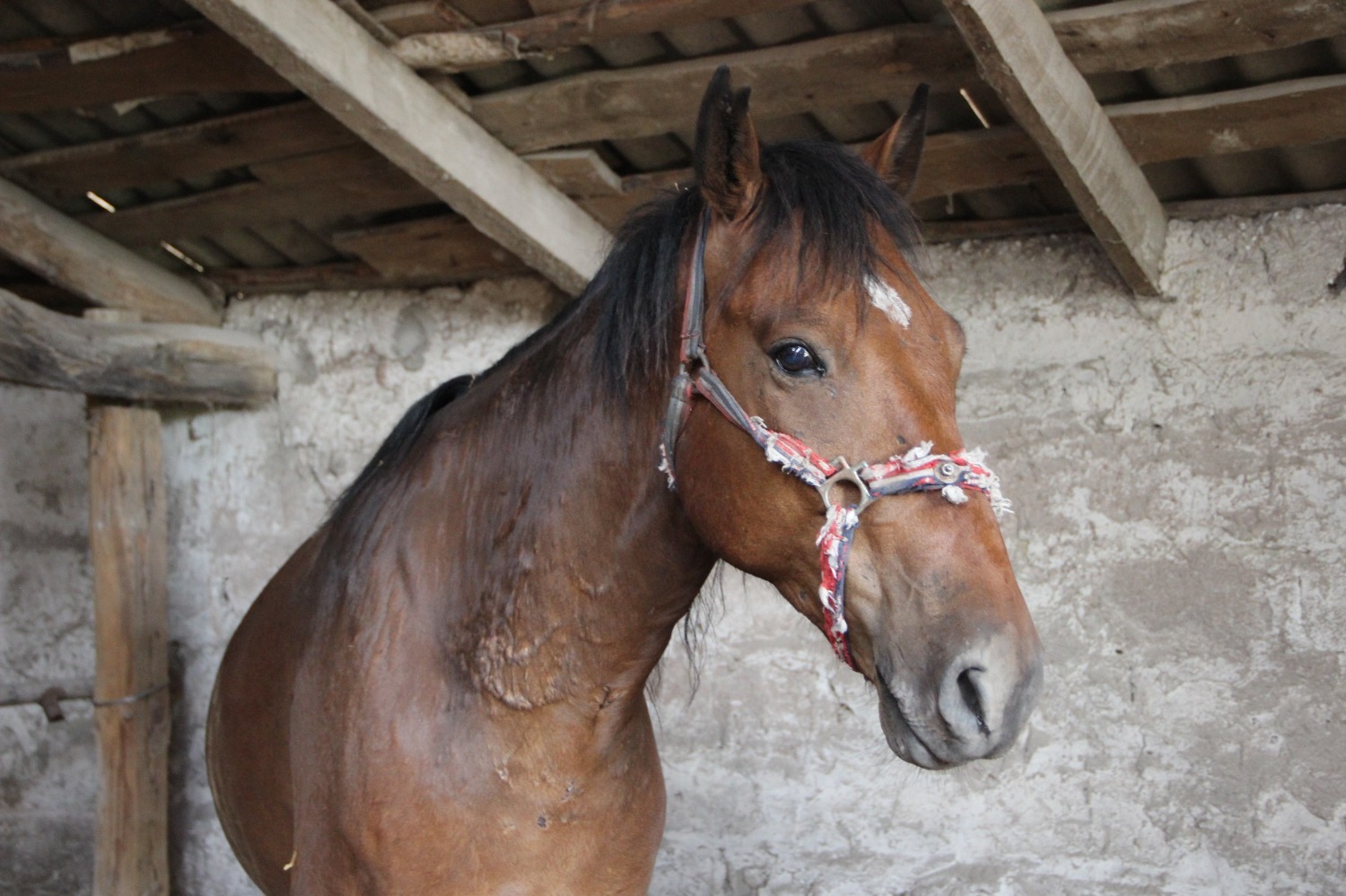 Эдуард Кускарбеков