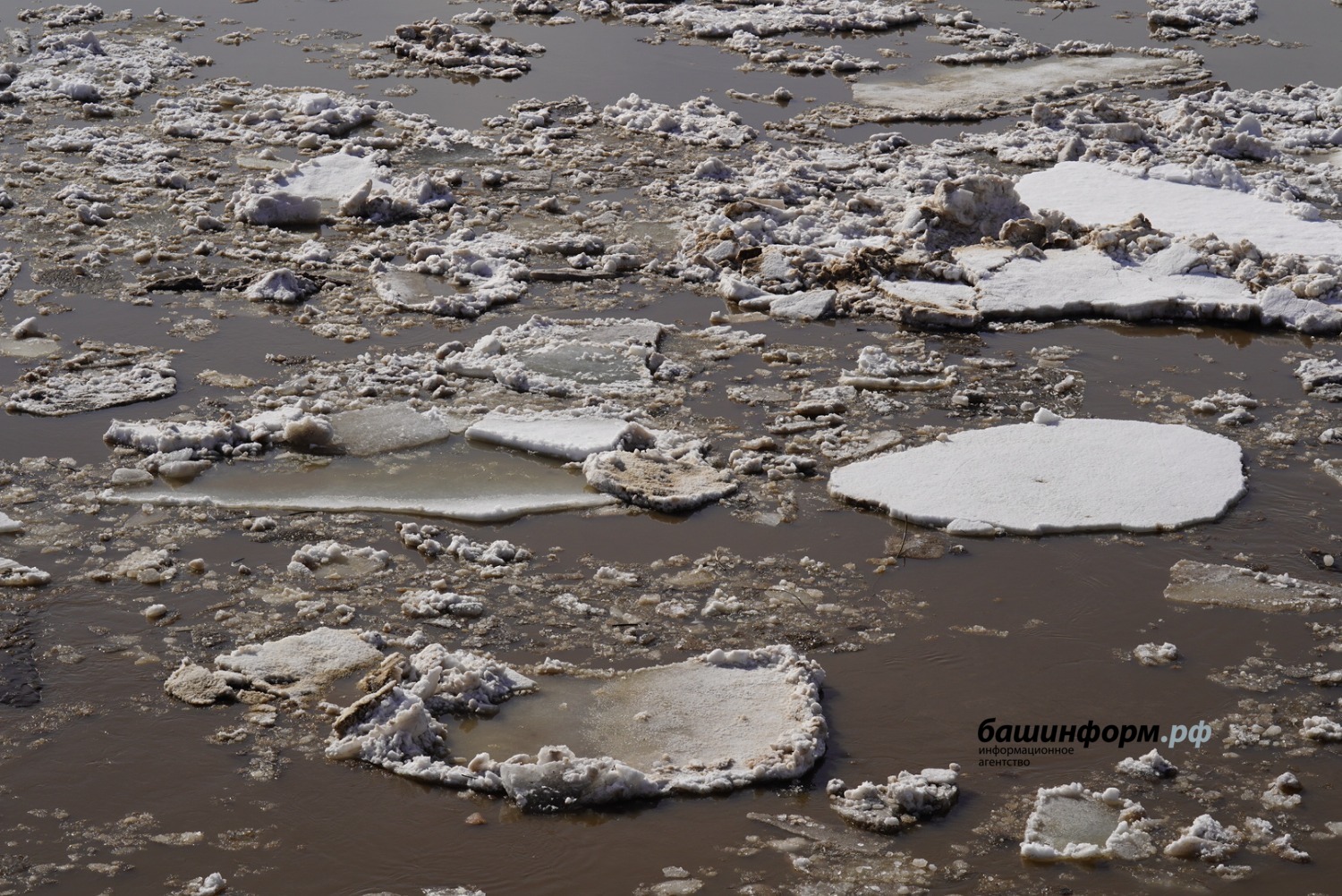 Олег Яровиков ИА "Башинформ"