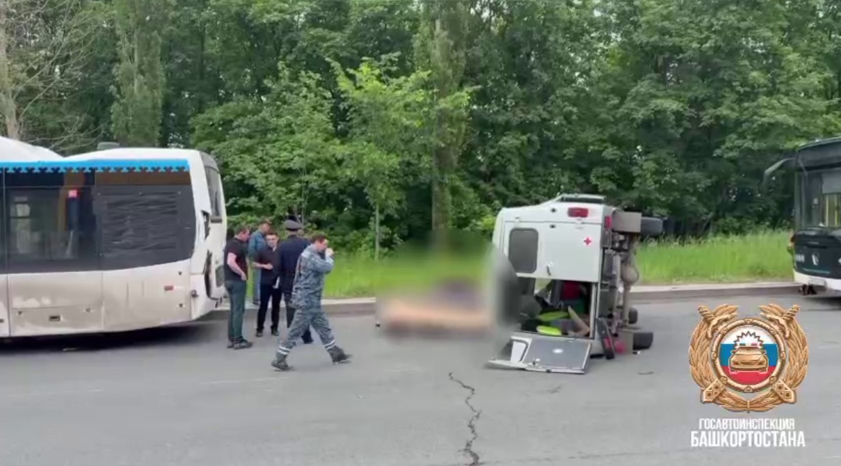 скриншот видео