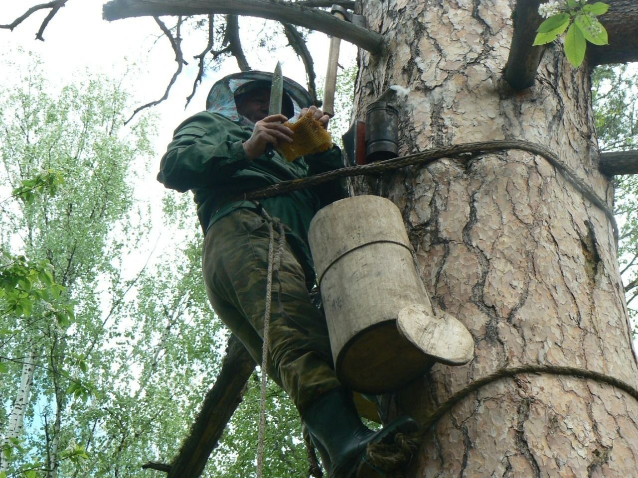 телеграм-канал Радия Хабирова