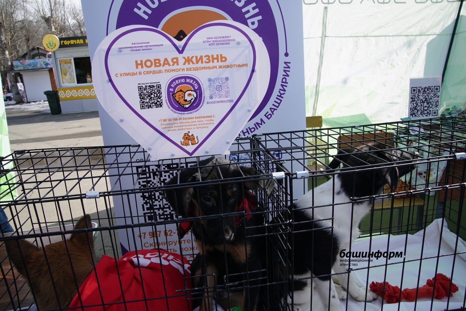 Олег Яровиков ИА «Башинформ»