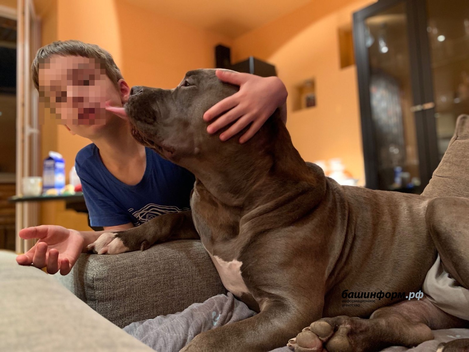 предоставлено Марией