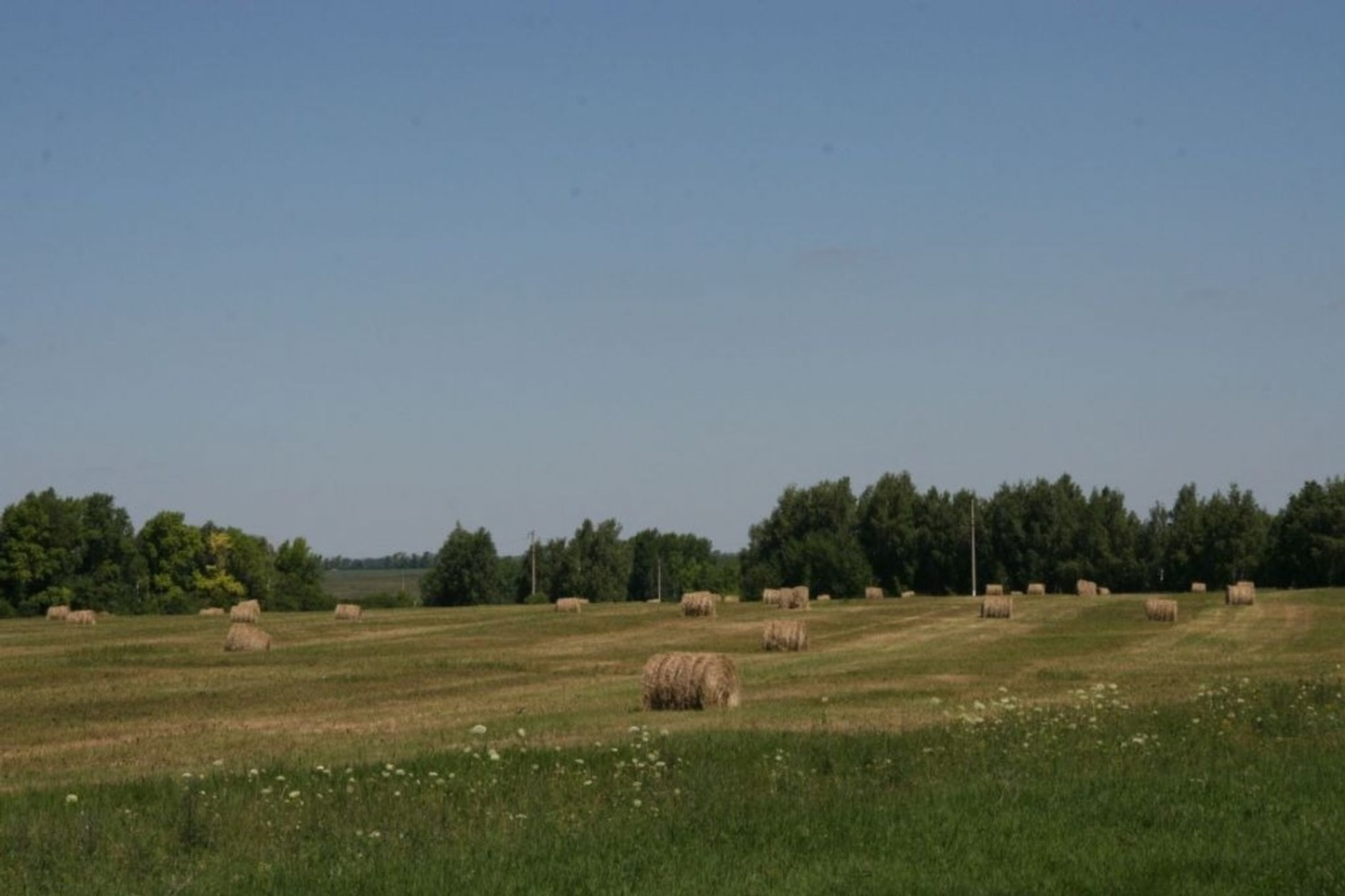 пресс-служба минсельхоза Башкирии