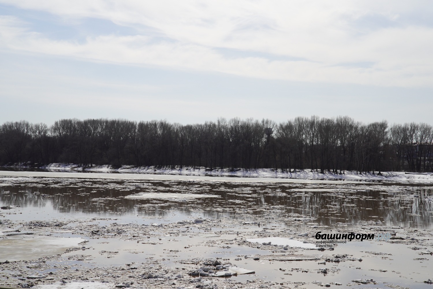 Олег Яровиков ИА "Башинформ"