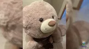 полиция Тюменской области ВК