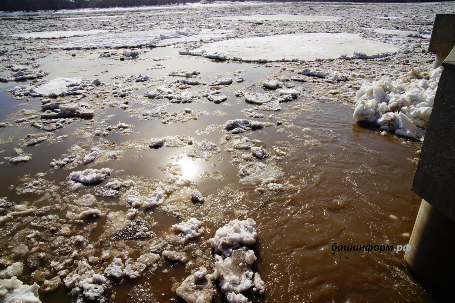 Олег Яровиков ИА "Башинформ"