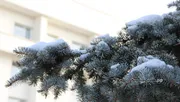 Ксения Калинина