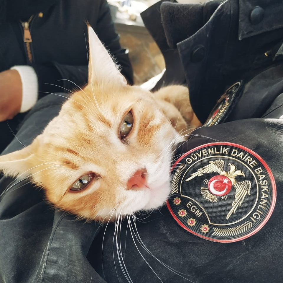 пресс-служба управления гражданской защиты Уфы