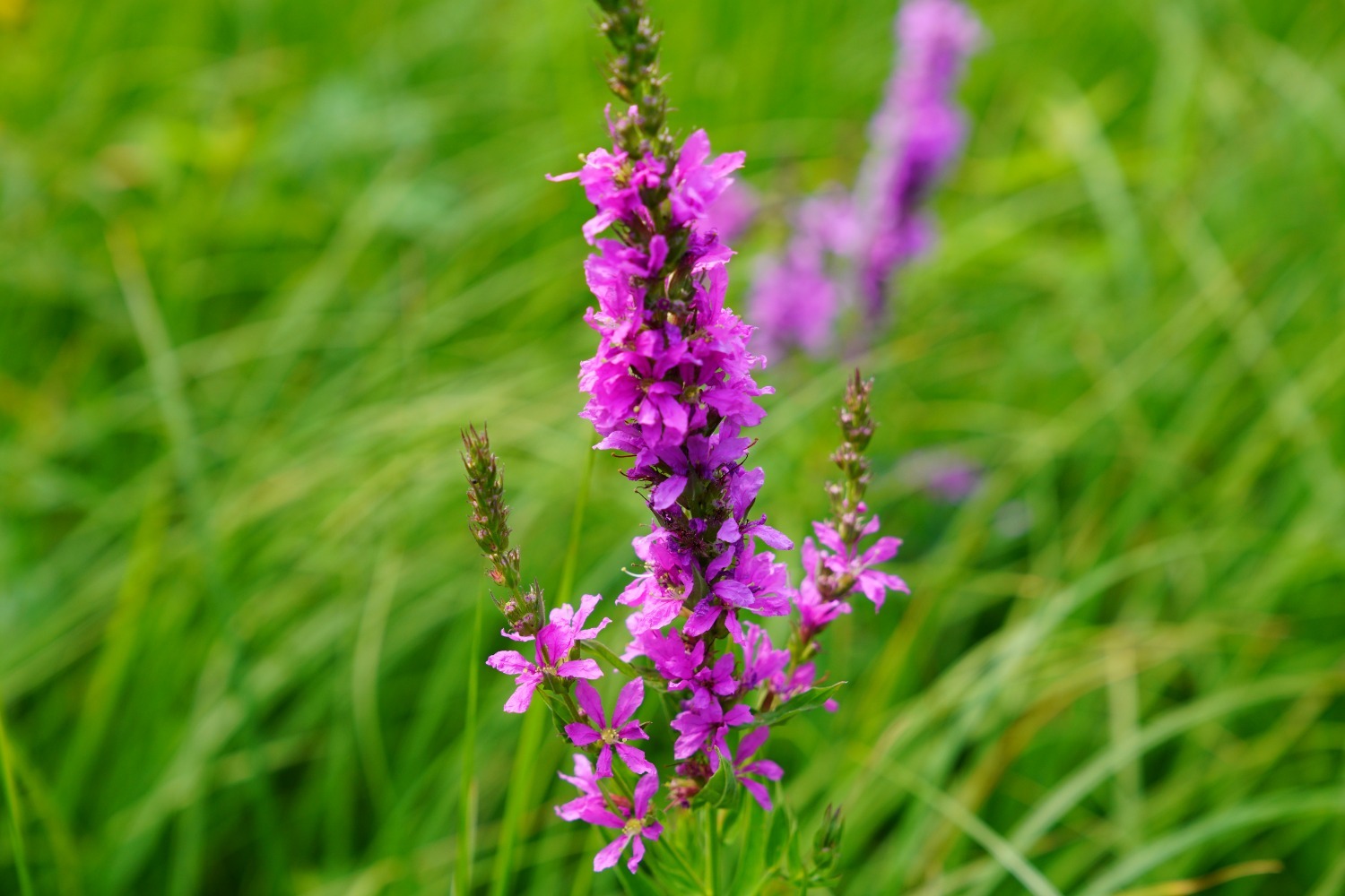 Олег Яровиков архив ИА «Башинформ»