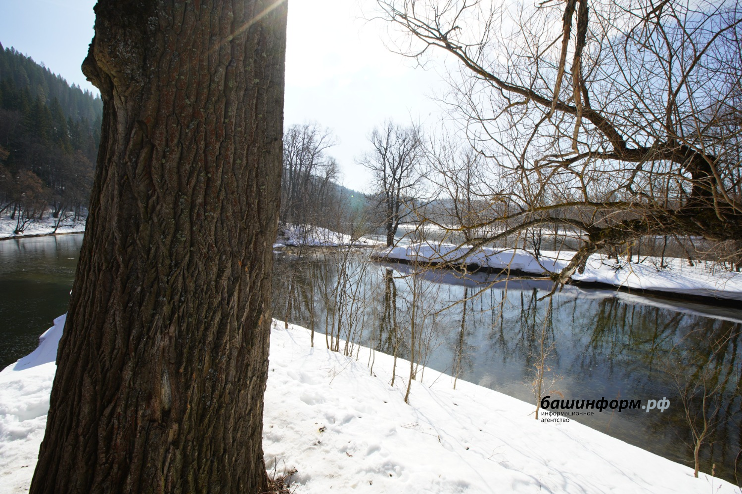 Олег Яровиков ИА "Башкортостан"