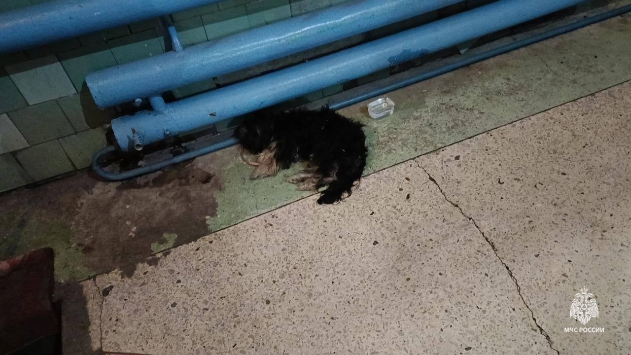 главное управление МЧС по Республике Башкортостан