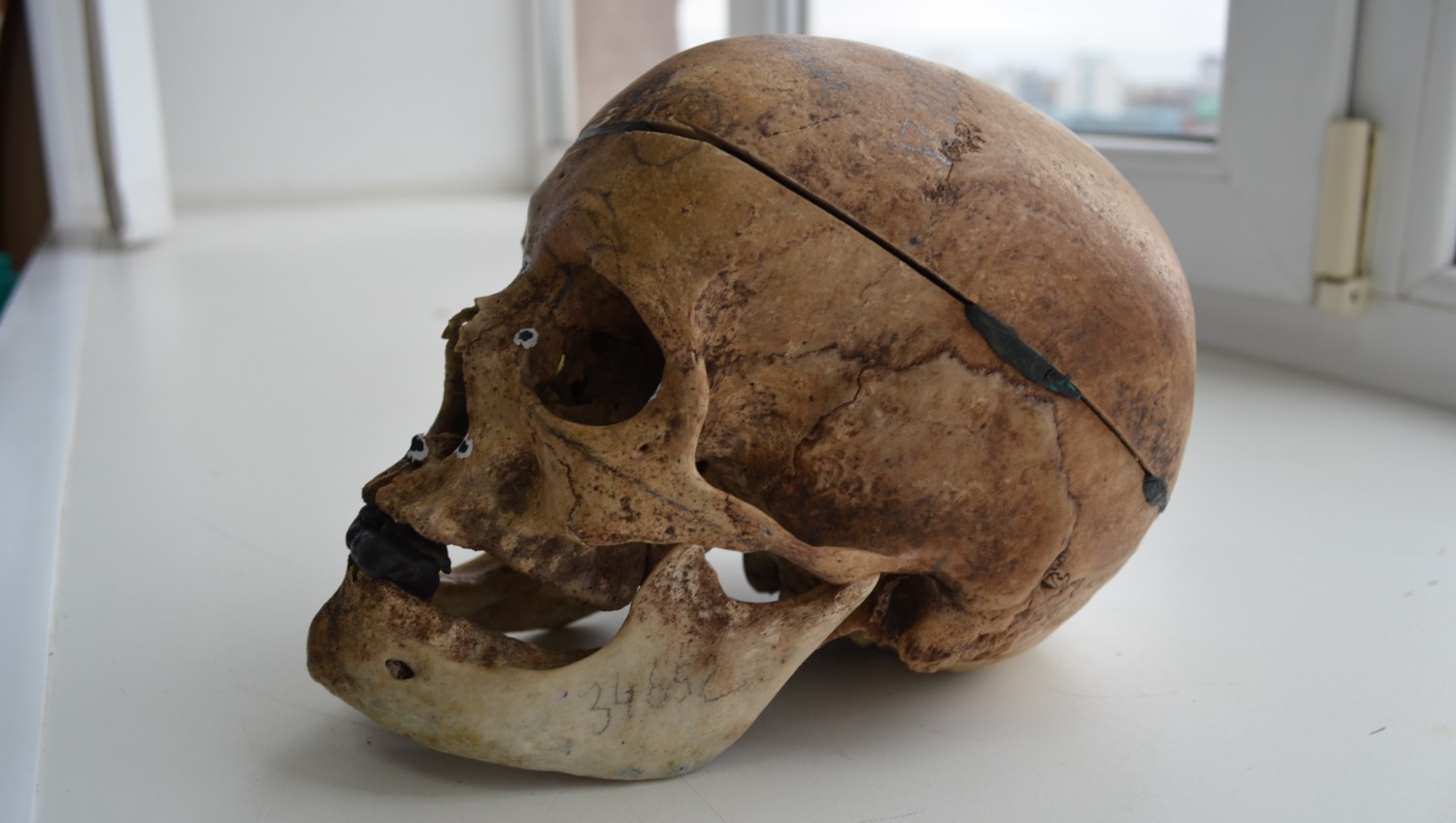 Ксения Калинина