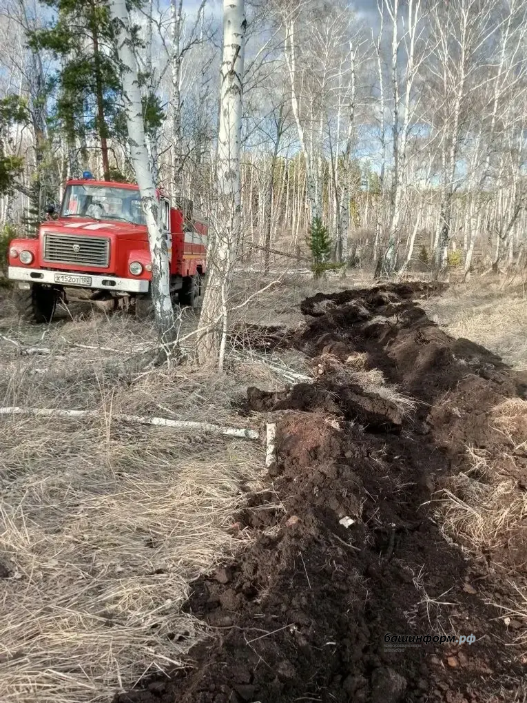 пресс-служба минлесхоза Башкирии
