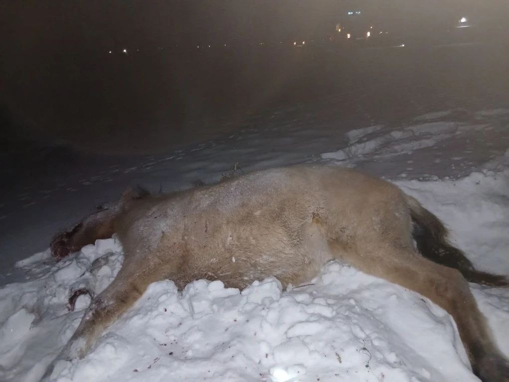 администрация Абзелиловского района Айрат Аминев