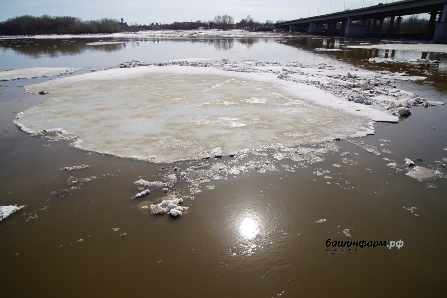Олег Яровиков ИА "Башинформ"