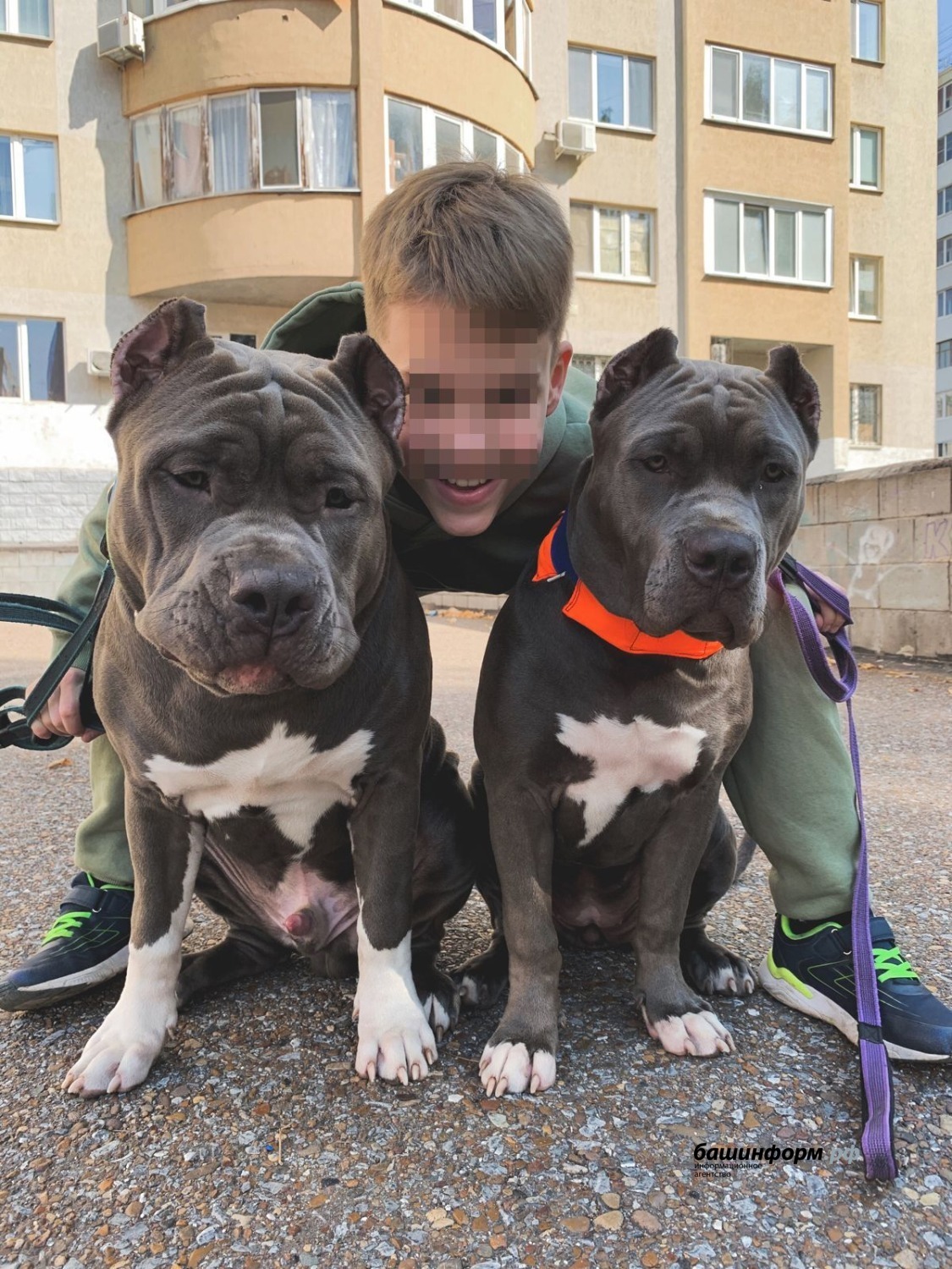 предоставлено Марией