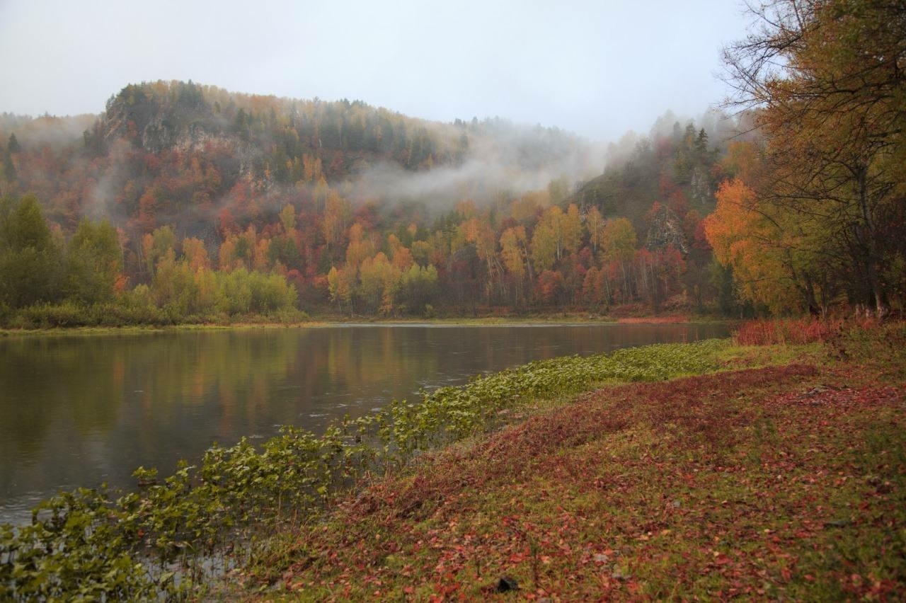 телеграм-канал Радия Хабирова