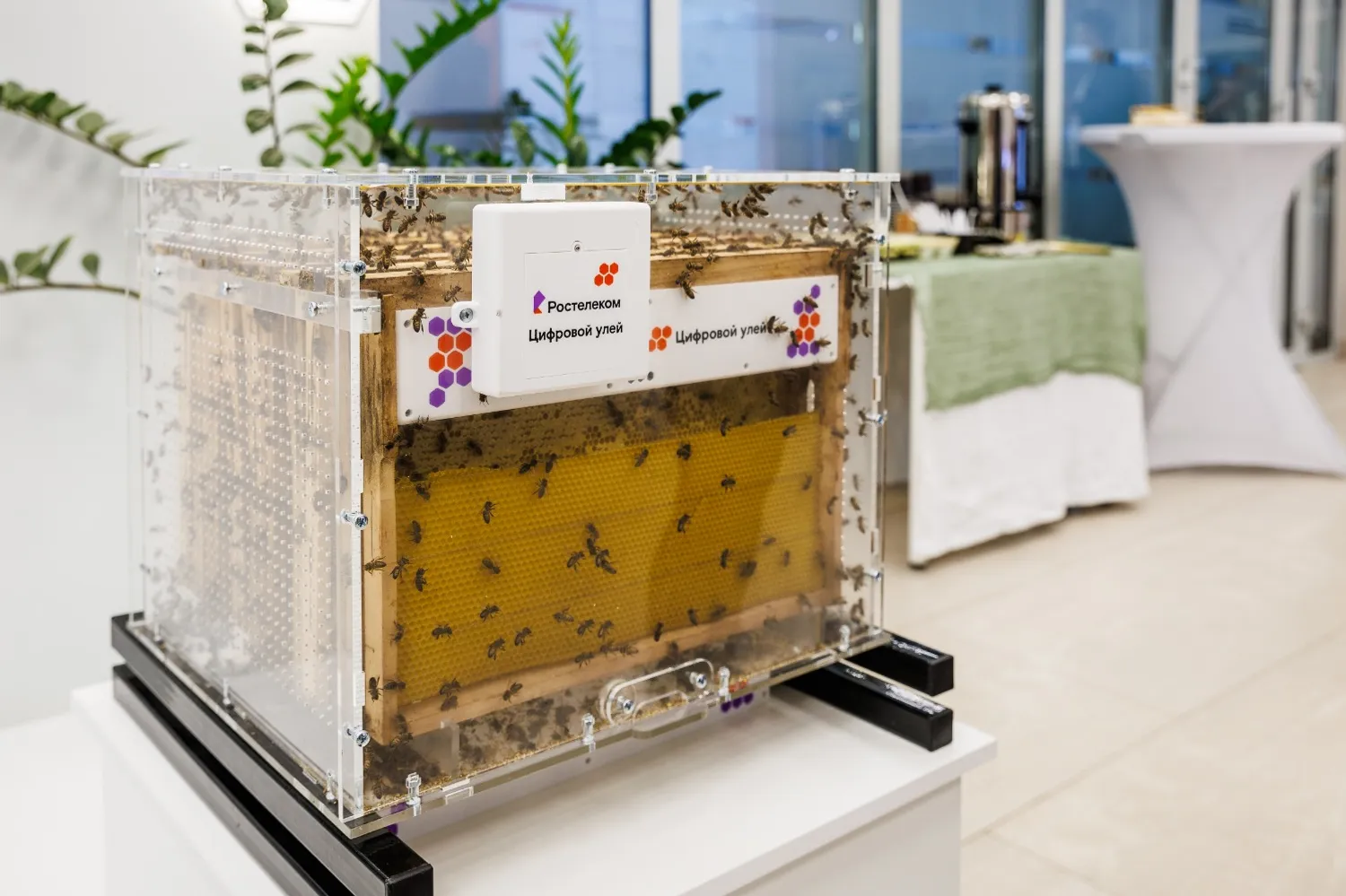 ПАО «Ростелеком» в Башкортостане» предоставлено пресс-службой