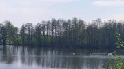 автор ИА «Башинформ»
