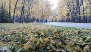 Гульфия Акулова архив ИА «Башинформ»